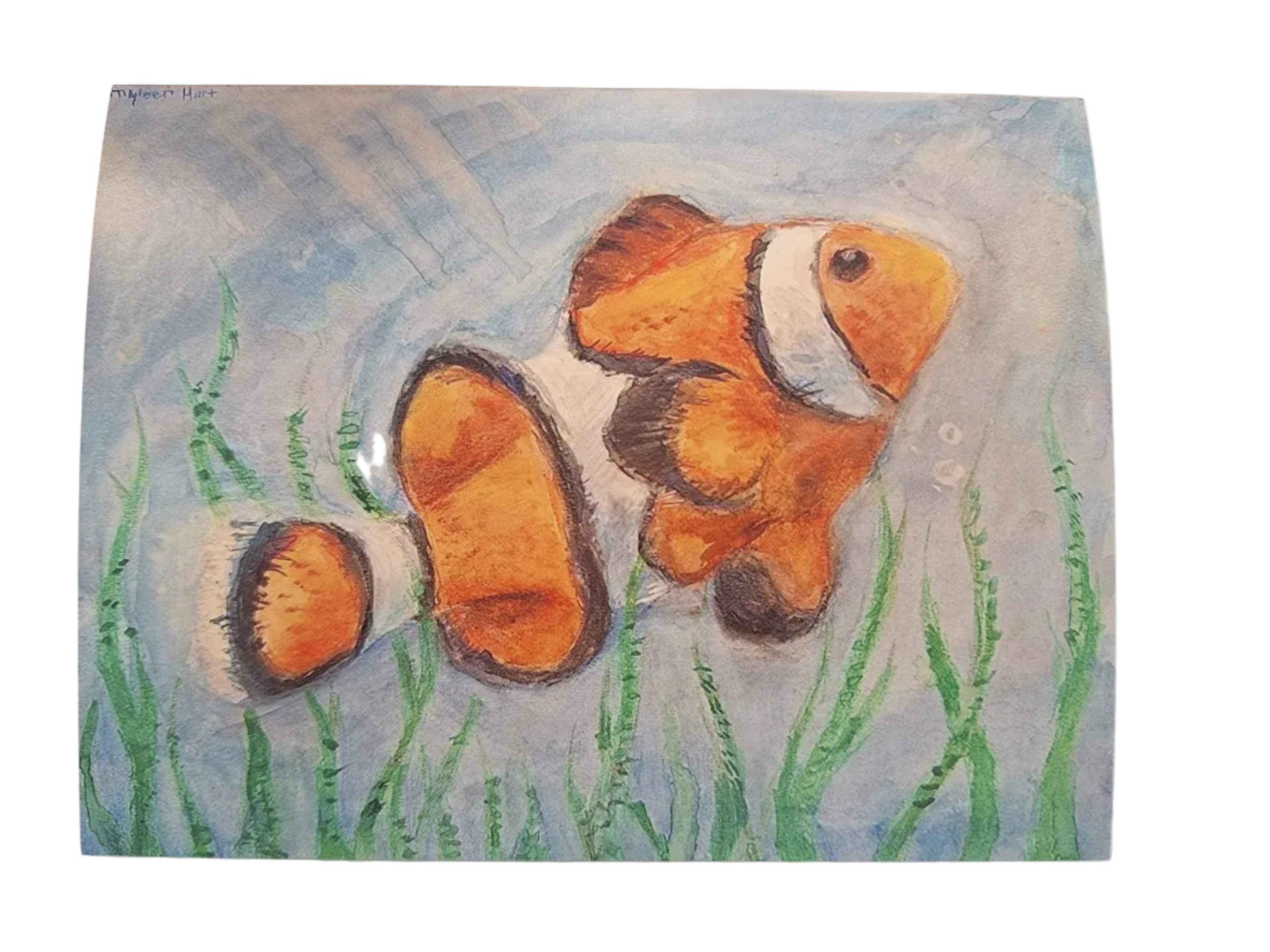 Clown of the Sea Notecard