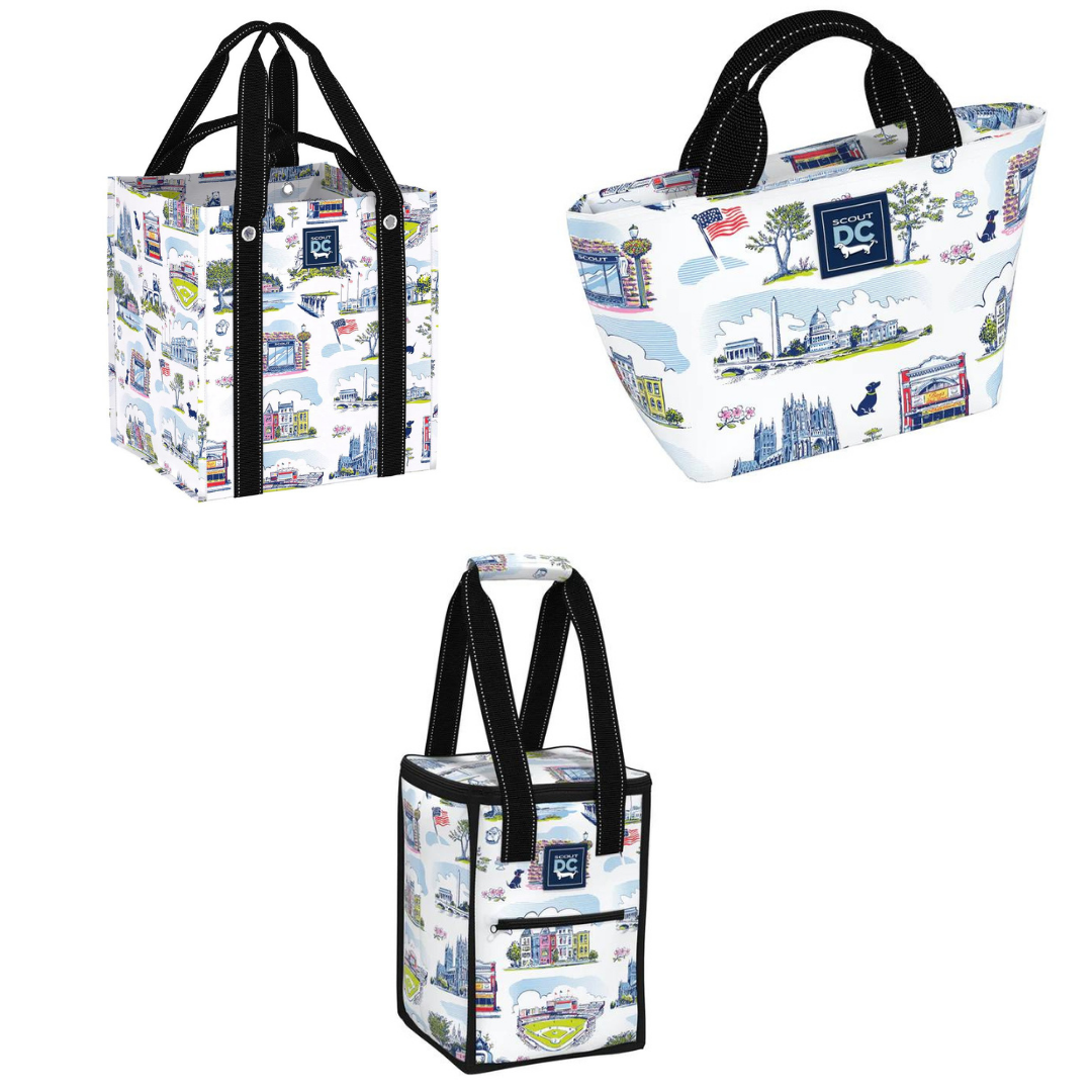 Washington D.C Scout