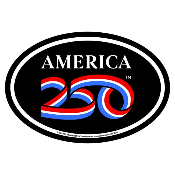 250 Logo Car Magnet