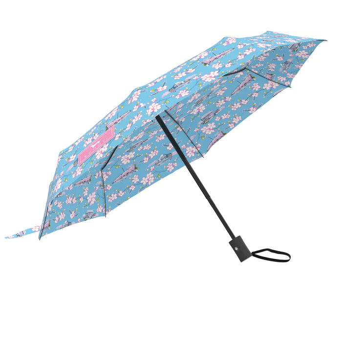 Capital Bloom Scout