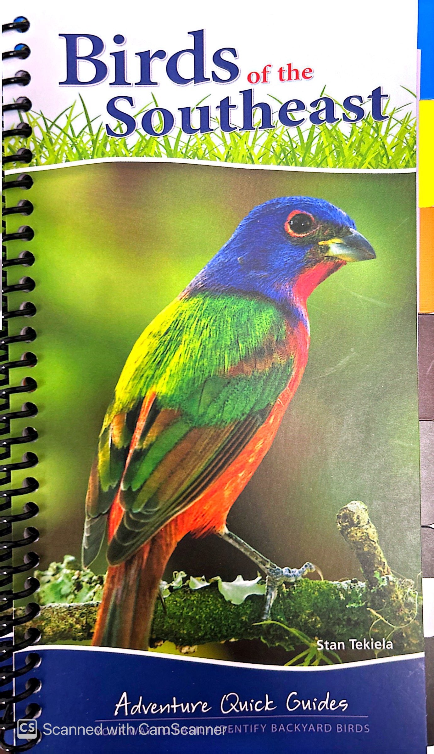 Birds of the Southeast