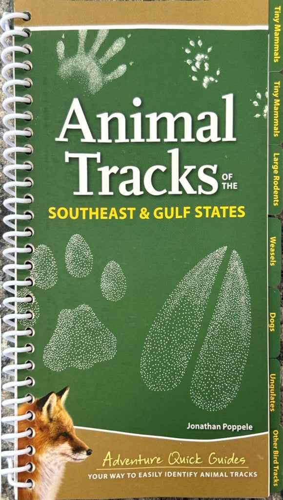 Animal Tracks of the Southeast Quick Guide