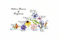 Native flower notecard