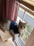 Manassas Pet Tee Sizes XL, 2X